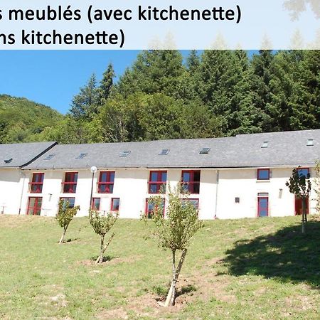 Gite Du Haut Cantal - Appartements Meubles Avec Kitchenette Et Chambres Sans Kitchenette Condat  Luaran gambar