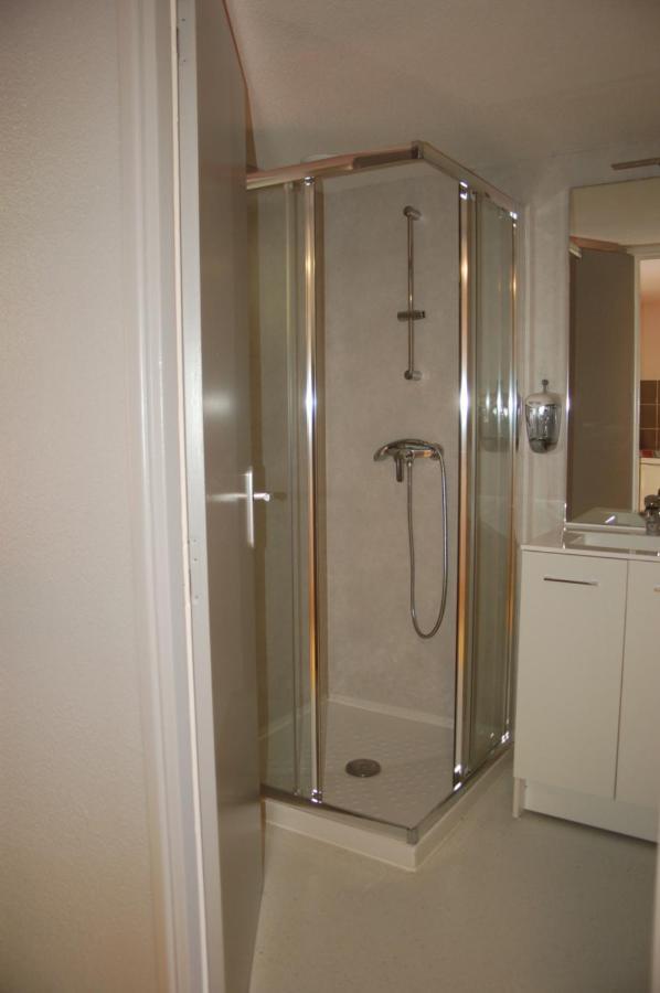 Gite Du Haut Cantal - Appartements Meubles Avec Kitchenette Et Chambres Sans Kitchenette Condat  Luaran gambar