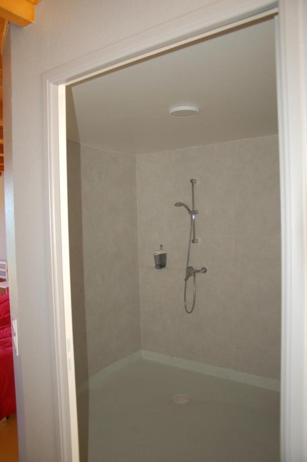 Gite Du Haut Cantal - Appartements Meubles Avec Kitchenette Et Chambres Sans Kitchenette Condat  Luaran gambar